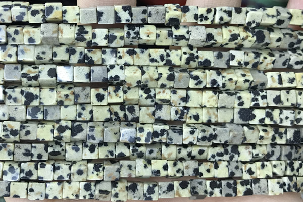 CUBE142 15 inches 4mm cube dalmatian jasper gemstone beads