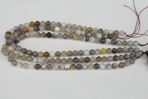 CAA224 15.5 inches 8mm round botswana agate gemstone beads