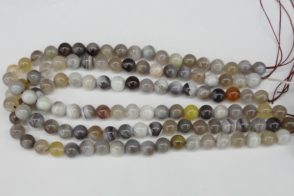CAA225 15.5 inches 10mm round botswana agate gemstone beads