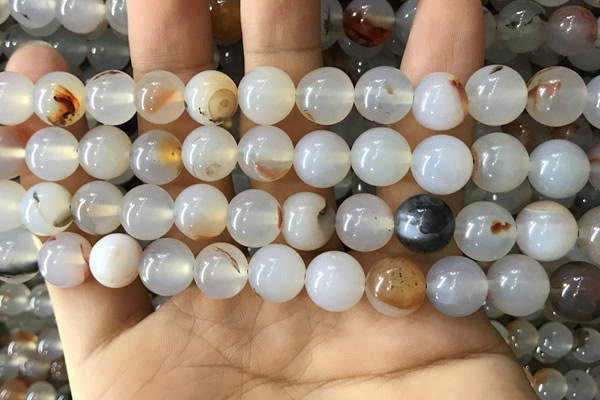 CAA3599 15.5 inches 10mm round dendritic agate beads wholesale