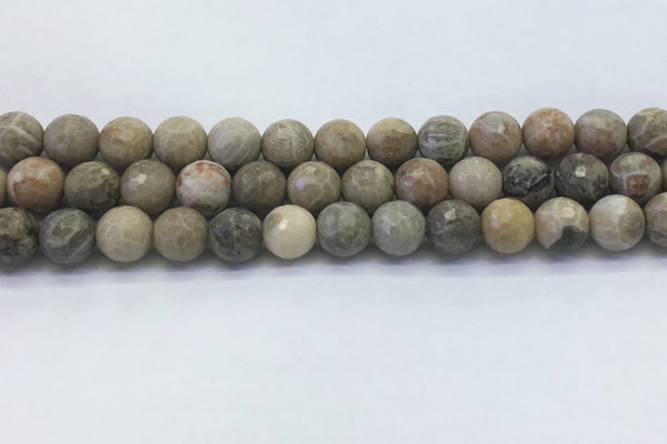 CAA3963 15.5 inches 10mm faceted round chrysanthemum agate beads