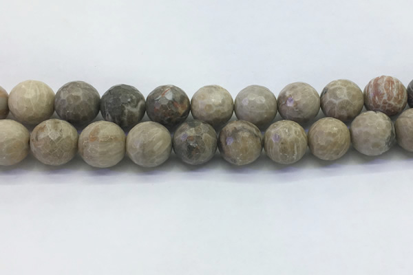 CAA3966 15.5 inches 16mm faceted round chrysanthemum agate beads