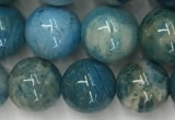 CAA3979 15.5 inches 10mm round chrysanthemum agate beads