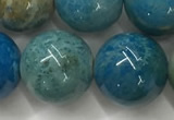 CAA3981 15.5 inches 14mm round chrysanthemum agate beads