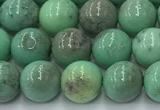 CAA4870 15.5 inches 6mm round grass agate beads wholesale