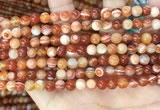 CAA4950 15.5 inches 6mm round Madagascar agate beads wholesale