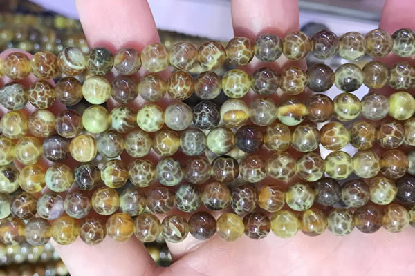 CAA5036 15.5 inches 4mm round yellow dragon veins agate beads