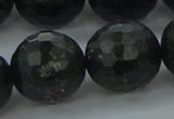 CAE42 15.5 inches 20mm faceted round astrophyllite beads wholesale