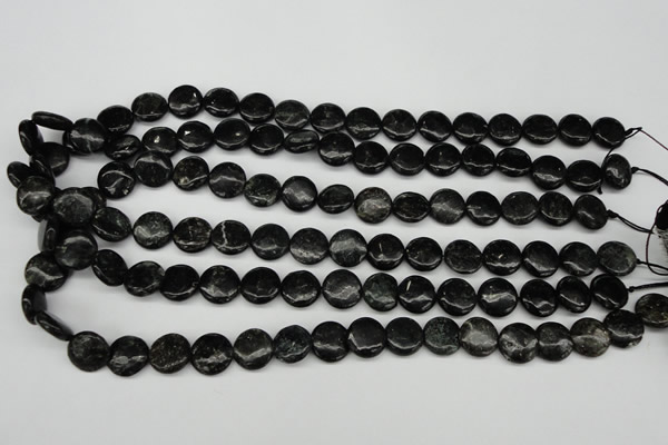 CAE45 15.5 inches 12mm flat round astrophyllite beads wholesale