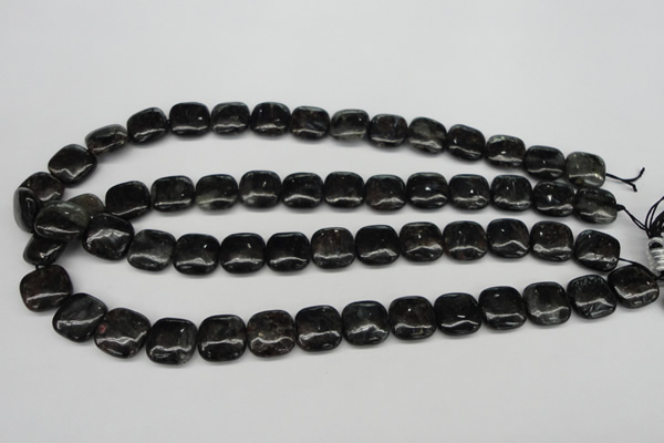 CAE78 15.5 inches 14*14mm square astrophyllite beads wholesale