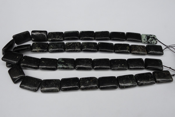 CAE92 15.5 inches 15*20mm rectangle astrophyllite beads wholesale