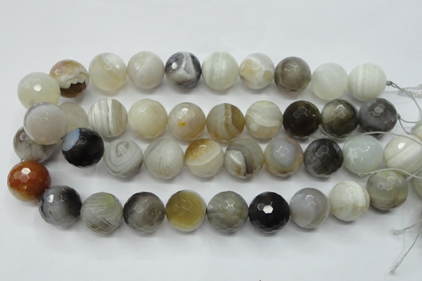 CAG1818 15.5 inches 20mm faceted round Chinese botswana agate beads