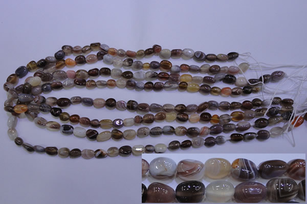 CAG2770 15.5 inches 6*8mm nuggets botswana agate beads wholesale