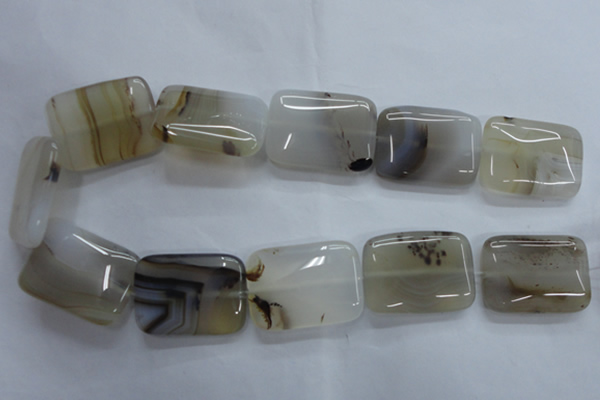 CAG3347 15.5 inches 25*35mm rectangle natural grey agate beads