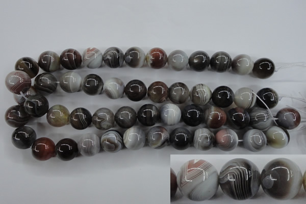 CAG3686 15.5 inches 16mm round botswana agate beads wholesale