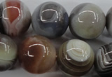 CAG3688 15.5 inches 20mm round botswana agate beads wholesale