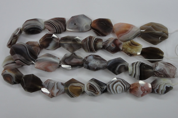 CAG3734 15.5 inches 18*22mm – 22*26mm faceted freeform botswana agate beads