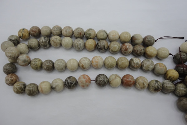 CAG3885 15.5 inches 14mm round chrysanthemum agate beads