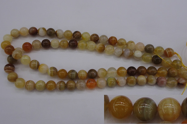 CAG4323 15.5 inches 10mm round botswana agate gemstone beads