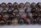 CAG5951 15.5 inches 6mm round botswana agate beads wholesale