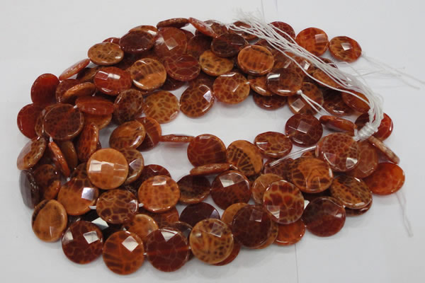 CAG639 15.5 inches 20mm faceted coin natural fire agate beads