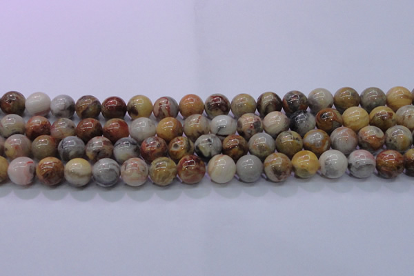 CAG6673 15.5 inches 10mm round natural crazy lace agate beads
