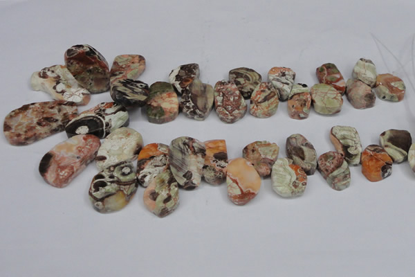 CAG7051 Top drilled 15*20mm - 25*35mm freeform ocean agate beads