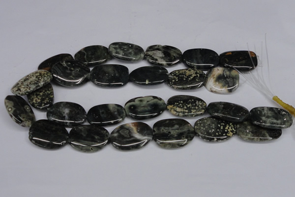 CAG7073 15.5 inches 22*30mm - 25*35mm freeform ocean agate beads