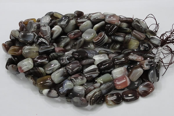 CAG738 15.5 inches 12*16mm rectangle botswana agate beads wholesale