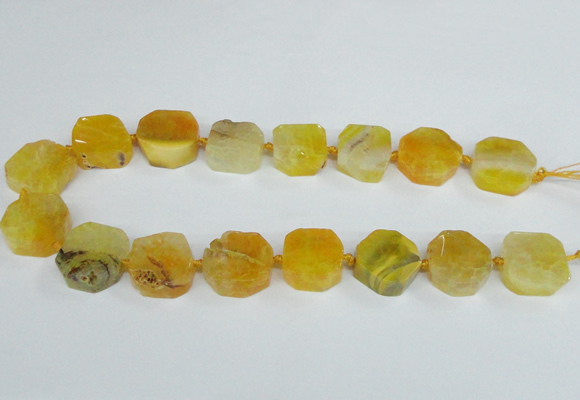 CAG7392 15.5 inches 22*25mm freeform dragon veins agate beads