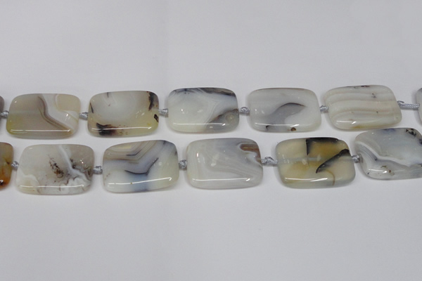 CAG7425 15.5 inches 25*35mm rectangle Montana agate beads