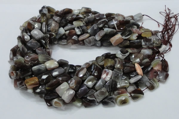 CAG759 15.5 inches 10*14mm faceted rectangle botswana agate beads
