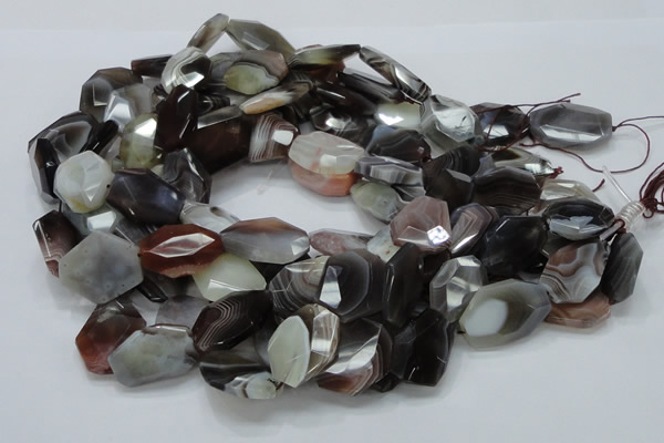 CAG761 15.5 inches 18*25mm faceted freeform botswana agate beads