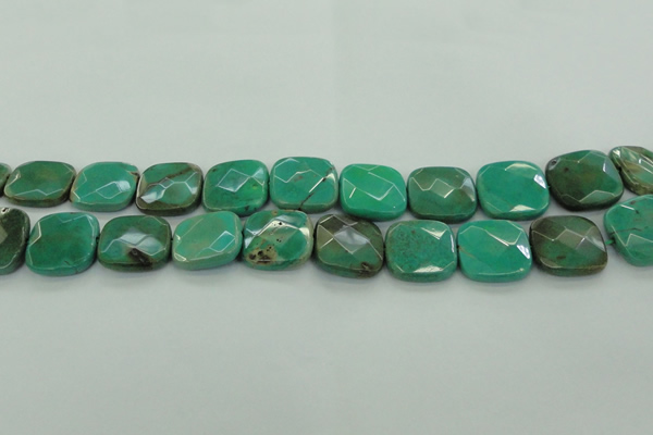 CAG7917 15.5 inches 25*25mm faceted square grass agate beads