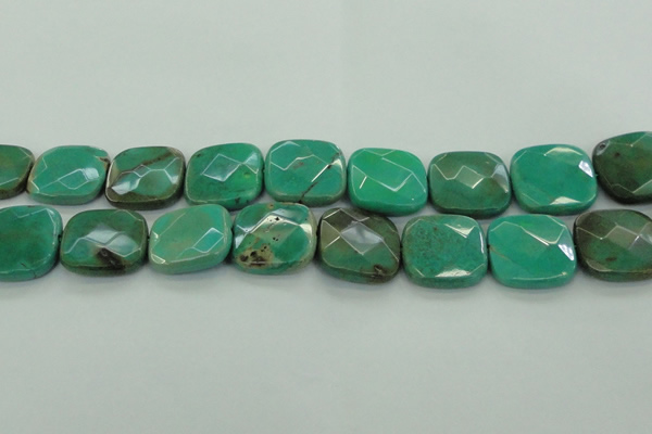 CAG7918 15.5 inches 30*30mm faceted square grass agate beads