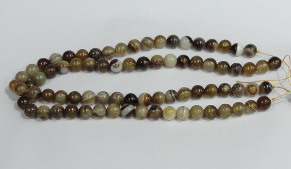 CAG938 16 inches 10mm round madagascar agate gemstone beads