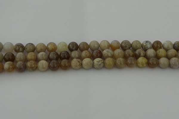CAG9402 15.5 inches 8mm round ocean fossil agate beads wholesale