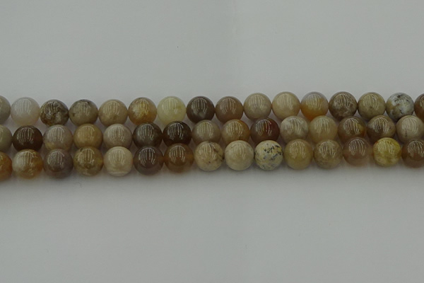 CAG9403 15.5 inches 10mm round ocean fossil agate beads wholesale