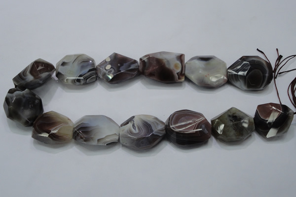 CAG991 15.5 inches 25*30mm faceted freeform botswana agate beads