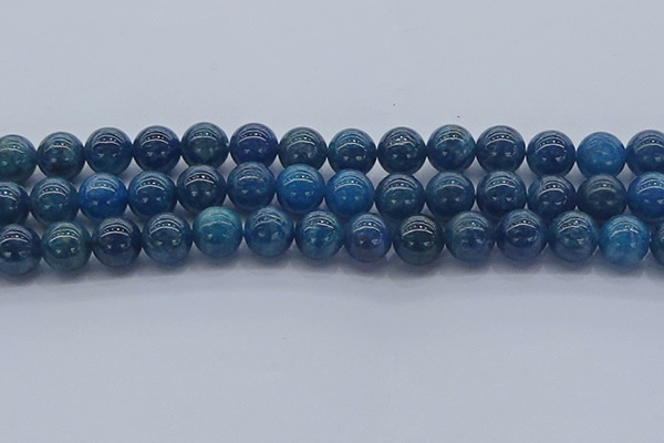 CAP363 15.5 inches 10mm round apatite gemstone beads wholesale