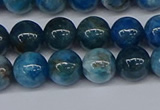 CAP412 15.5 inches 8mm round apatite gemstone beads wholesale