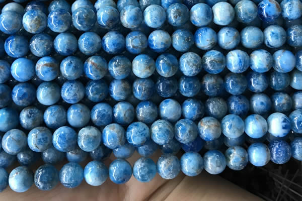 CAP585 15.5 inches 10mm round apatite beads wholesale