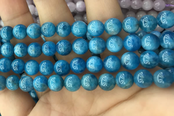 CAP612 15.5 inches 8mm round natural apatite gemstone beads