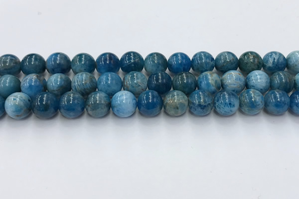 CAP632 15.5 inches 10mm round apatite beads wholesale