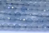 CAQ960 15 inches 2mm faceted round aquamarine beads