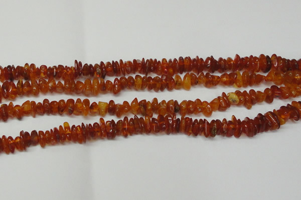 CAR115 16 inches 3*6mm - 4*8mm natural amber chips beads