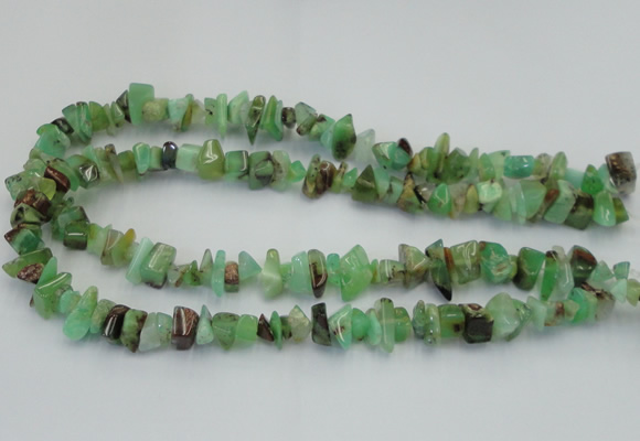 CAU407 15.5 inches 4*8mm - 6*14mm Australia chrysoprase chips beads