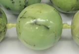 CAU544 15.5 inches 16mm round Australia chrysoprase gemstone beads