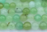 CAU569 15 inches 5mm round Australia chrysoprase beads