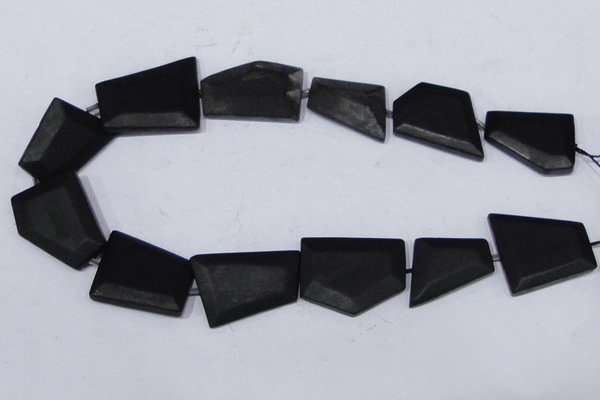 CBS24 15.5 inches 20*30mm freeform black stone beads wholesale